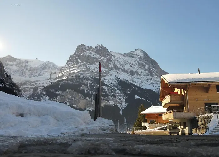 Mila Apartment Grindelwald